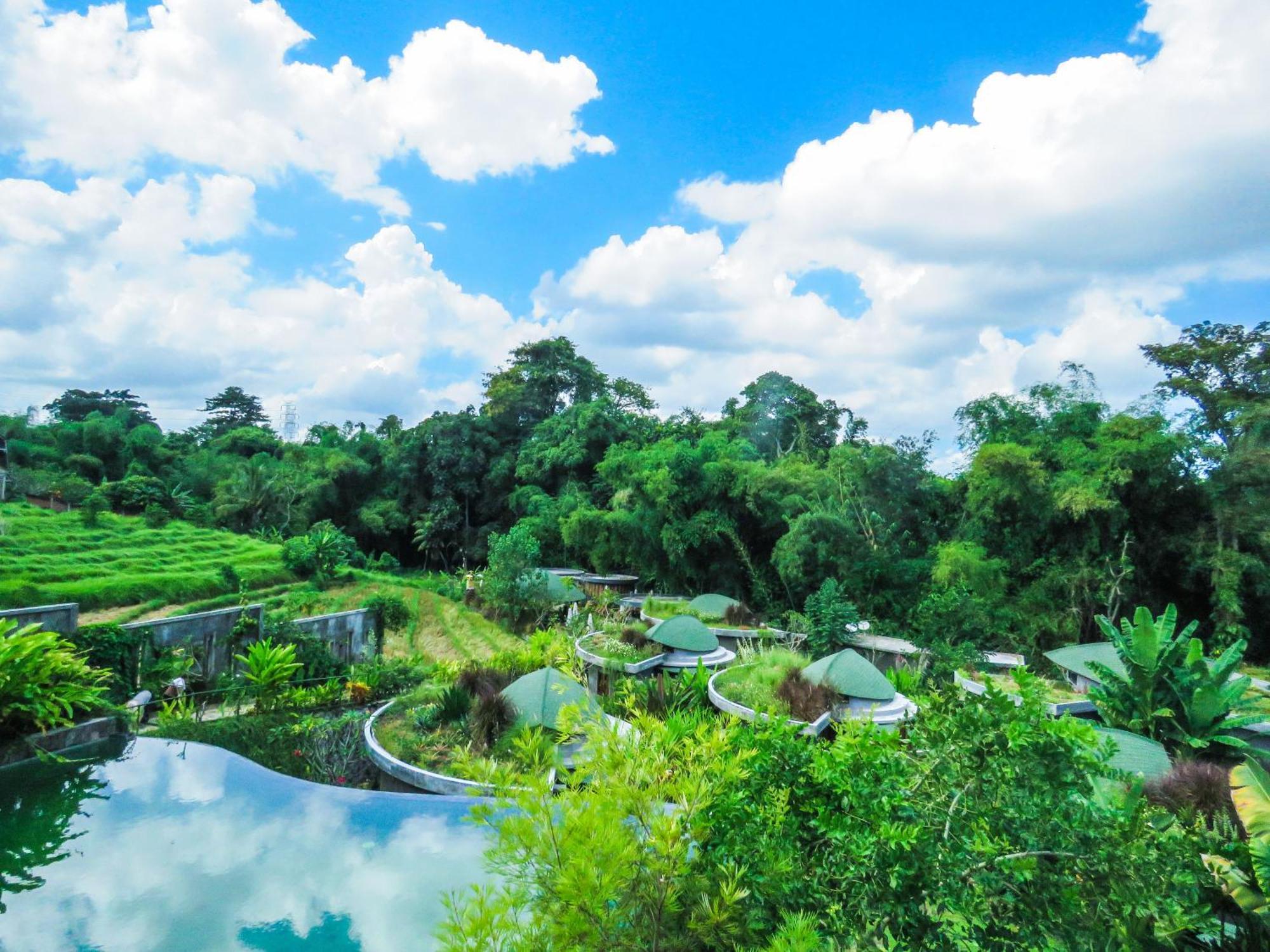 De Moksha Eco Friendly Boutique Resort Танаг-Лот Номер фото